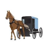 Amish Buggy and Horse